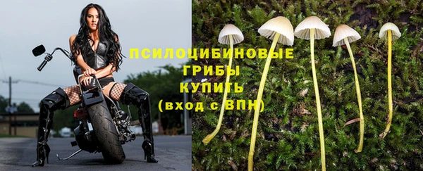 прущий лед Арсеньев
