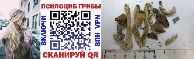 Галлюциногенные грибы мицелий  ссылка на мегу ссылка  Байкальск  сколько стоит 